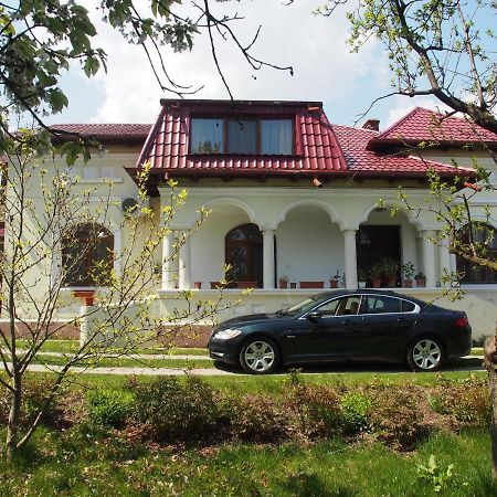 Argeselu Garden Villa-entire floor apartament, exclusive garden access Maracineni Exterior foto