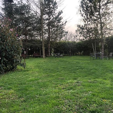 Argeselu Garden Villa-entire floor apartament, exclusive garden access Maracineni Exterior foto