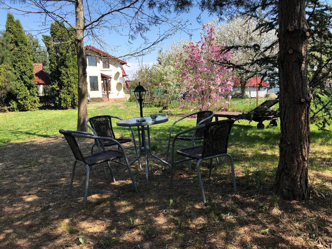 Argeselu Garden Villa-entire floor apartament, exclusive garden access Maracineni Exterior foto