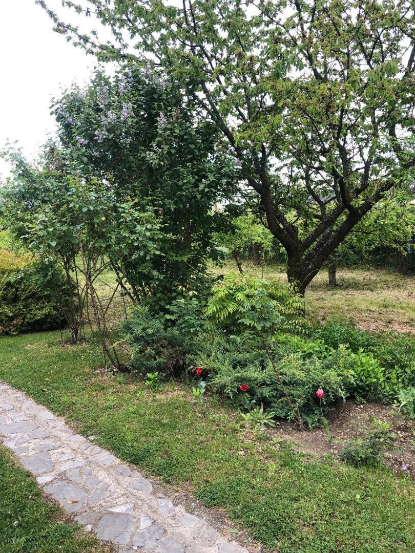 Argeselu Garden Villa-entire floor apartament, exclusive garden access Maracineni Exterior foto
