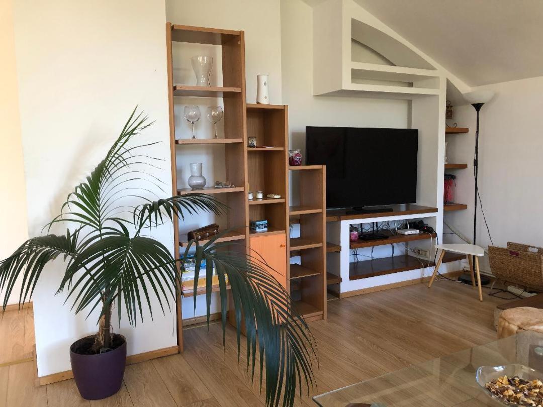 Argeselu Garden Villa-entire floor apartament, exclusive garden access Maracineni Exterior foto
