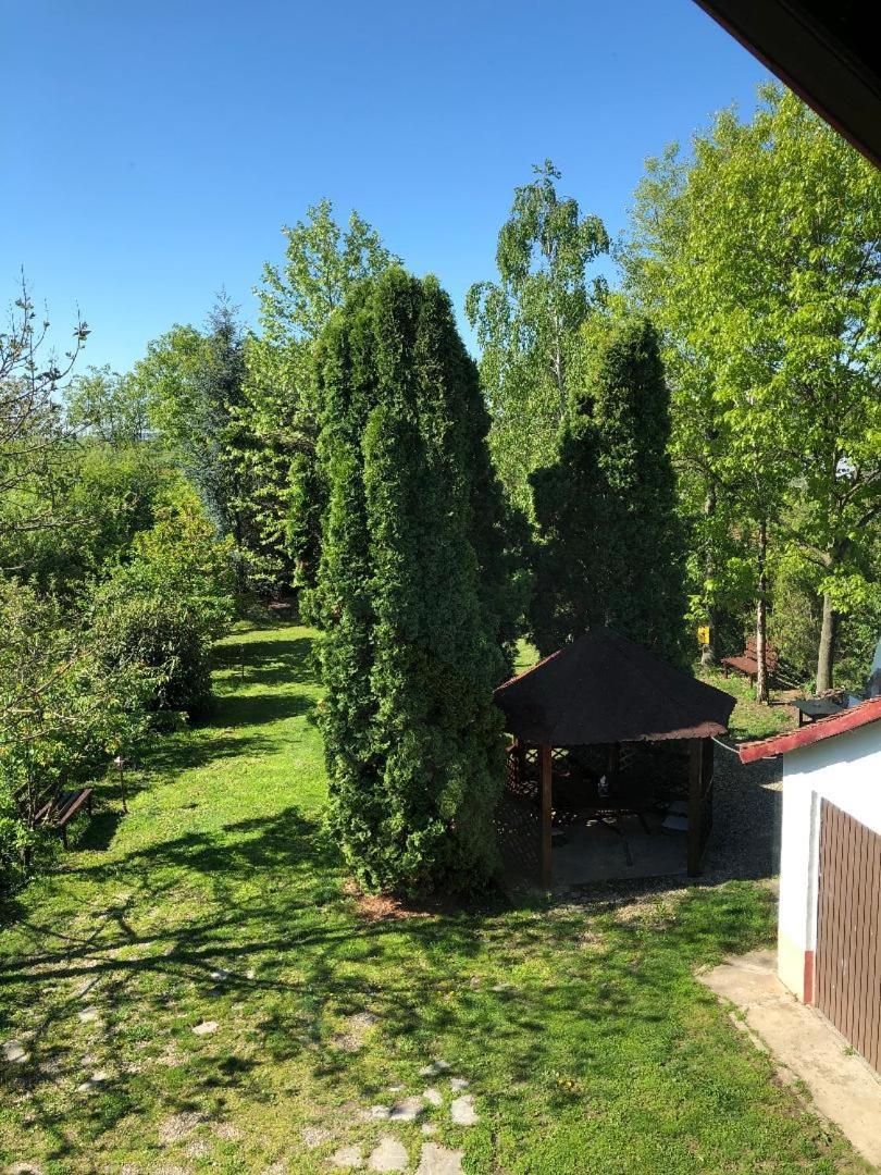 Argeselu Garden Villa-entire floor apartament, exclusive garden access Maracineni Exterior foto
